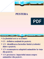 0 Pestera