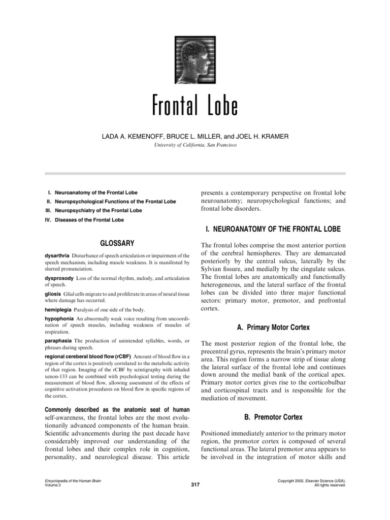 Frontal Lobe | PDF