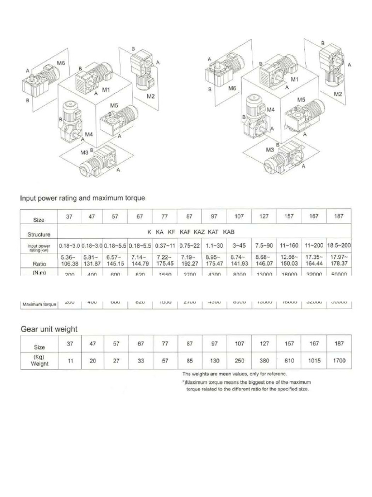 Agitator Drive Gearbox PDF