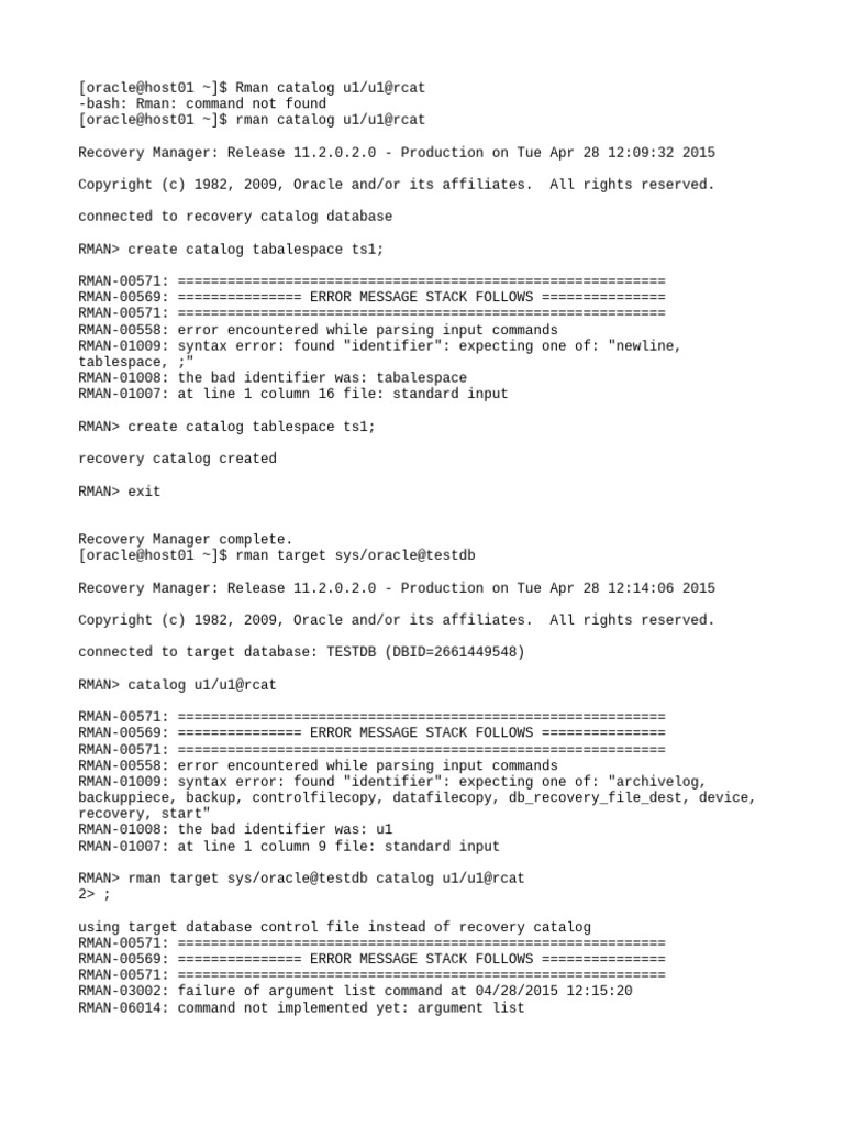 Rman Catalog PDF Backup Computer File