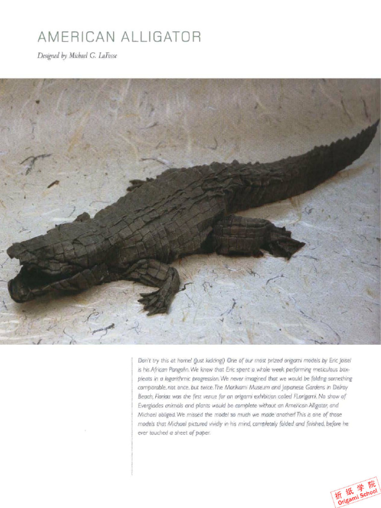 Alligator Origami | PDF