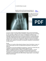 Caso Clínico de necrosis de cuello de fémur en un gato