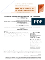 Effects On The Microflora of The Gastrointestinal Tract When Feeding Goats With High Algae