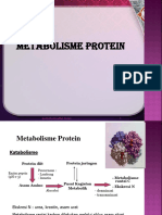 MODUL 9 Metabolisme Protein