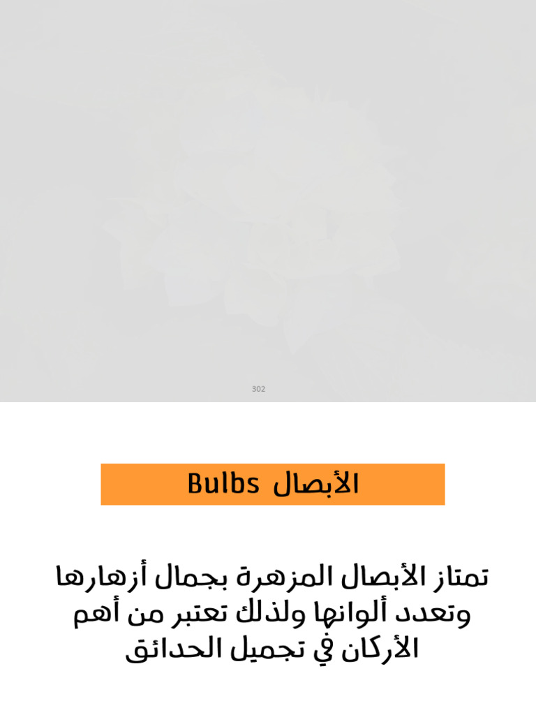 Bulbs PDF