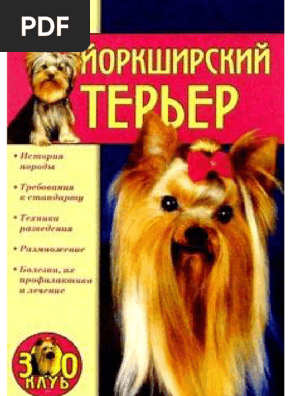 Strekalova_elvira_vse_o_sobakakh_iorkshirskii_terer | PDF