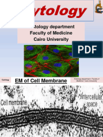 1 - Cytology (2022-2023)