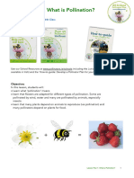 1 Lesson Plan 1 What Is Pollination