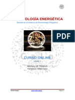 Manual Curso de Numerología CALO - Unlocked