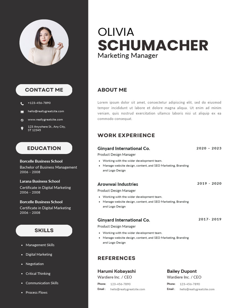 Professional CV Resume | PDF