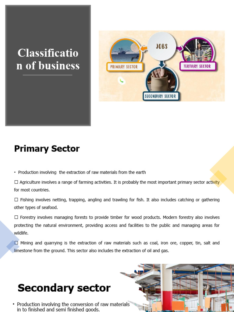 Lesson 07 classification of business pdf