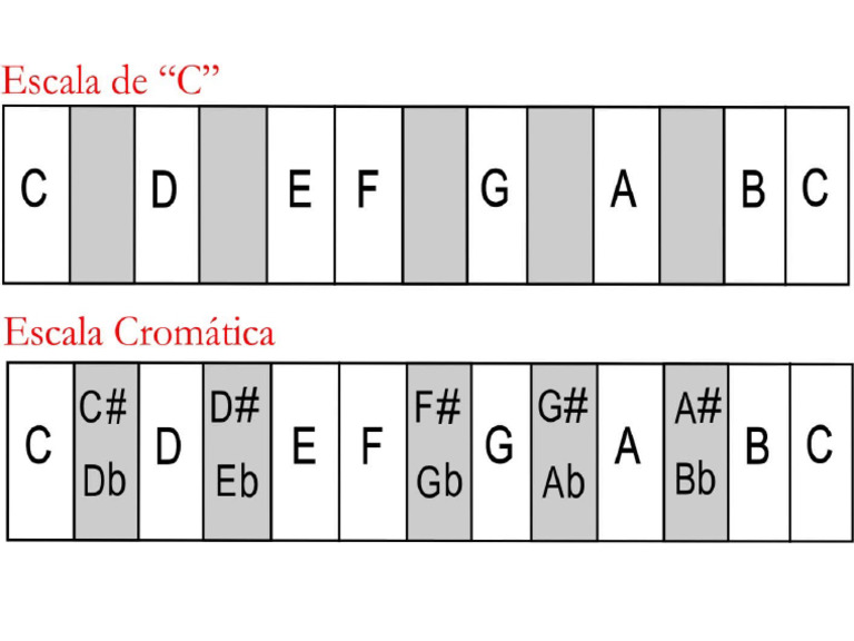 Escola Cromatica | PDF
