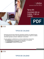 Tema 06 Calidad de La Carne PDF