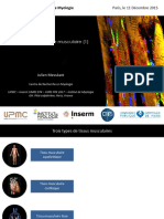 DIU Myologie 2015. Anatomie de La Fibre Bis Musculaire 1. J. Messeant