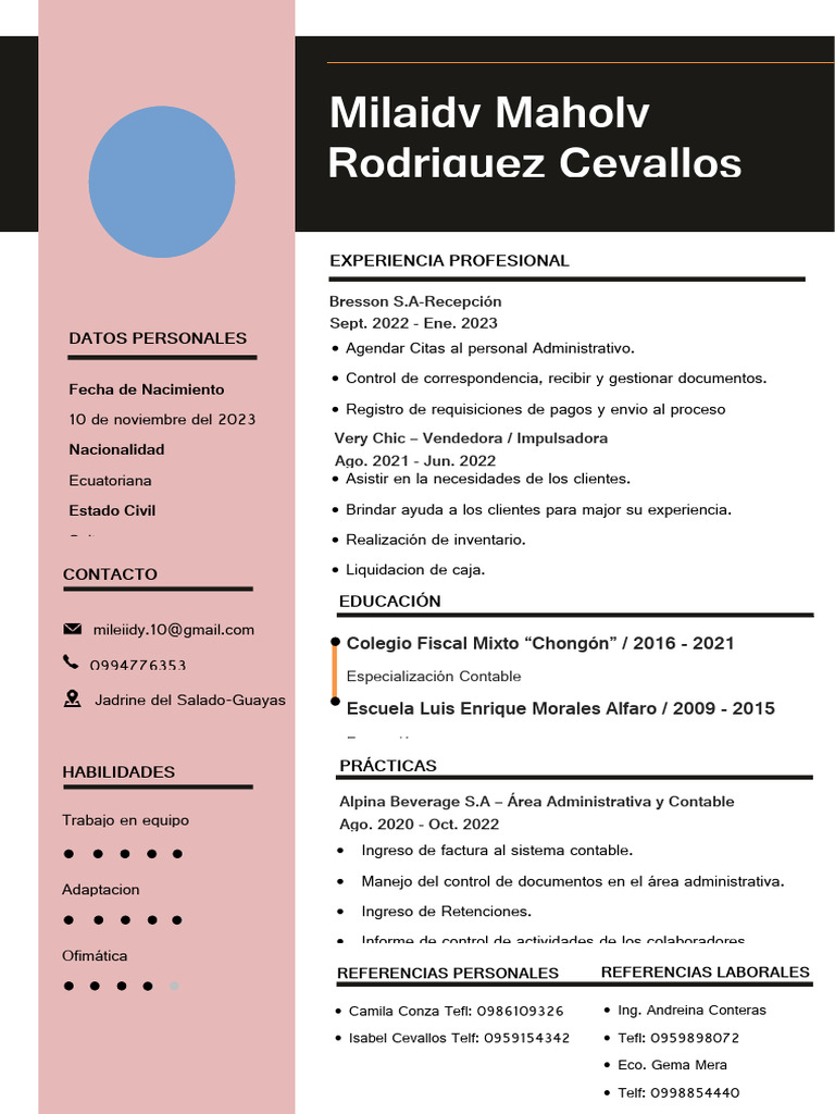 Curriculum Maholy | PDF