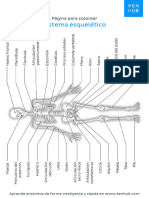 Imágenes de Anatomía