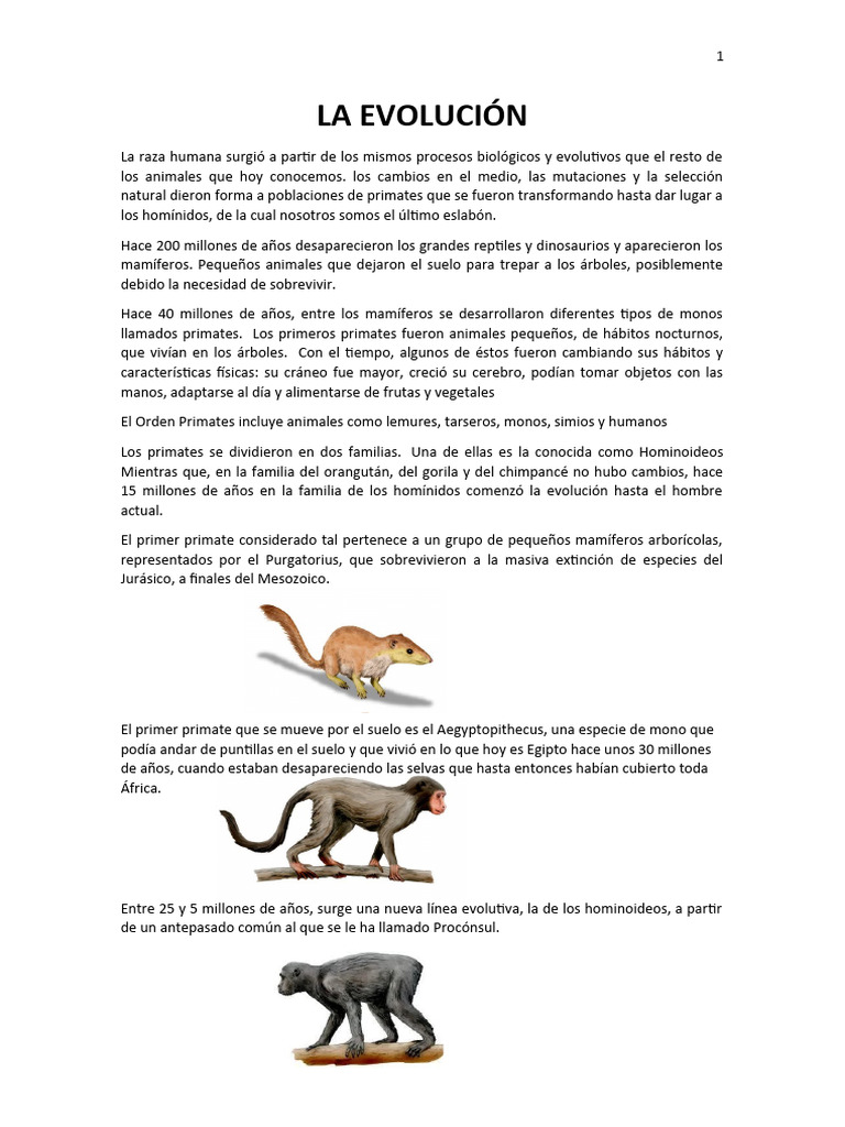 Evolución de los Homínidos y Humanos | PDF | Homo | Humano