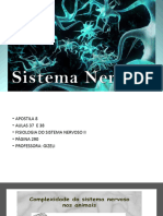 Sistema Nervoso II Aulas 37 e 38 Apostila 8 2ºem-1