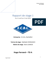 Rapport de Stage Ferrand Hugo Tda