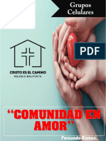 Comunidad en Amor, Celulas.