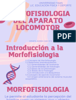 MORFOAPLOU1-Introducción A La Morfofisiología - 20240109 - 161156 - 0000