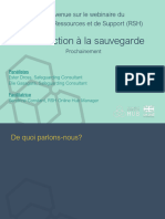 RSH - UKAID - Introduction A La Sauvegarde - Presentation