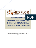 Informe Tungsteno