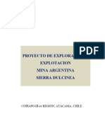 Proyecto de Explotacion Mina Argentina2