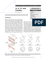 DNA Structure - A-, B - and Z