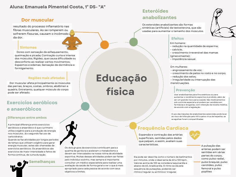 Educação Fisica-Mapa Mental | PDF | Músculo esquelético ...