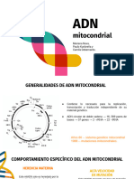 ADN Mitocondrial