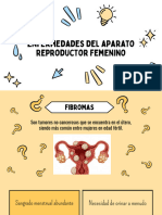 Enfermedades Del Aparato Reproductor Femenino