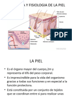 Anatomia de La Piel