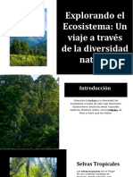 Wepik Explorando El Ecosistema Un Viaje A Traves de La Diversidad Natural 20231207184646QvdF