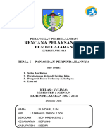 RPP Tema 6