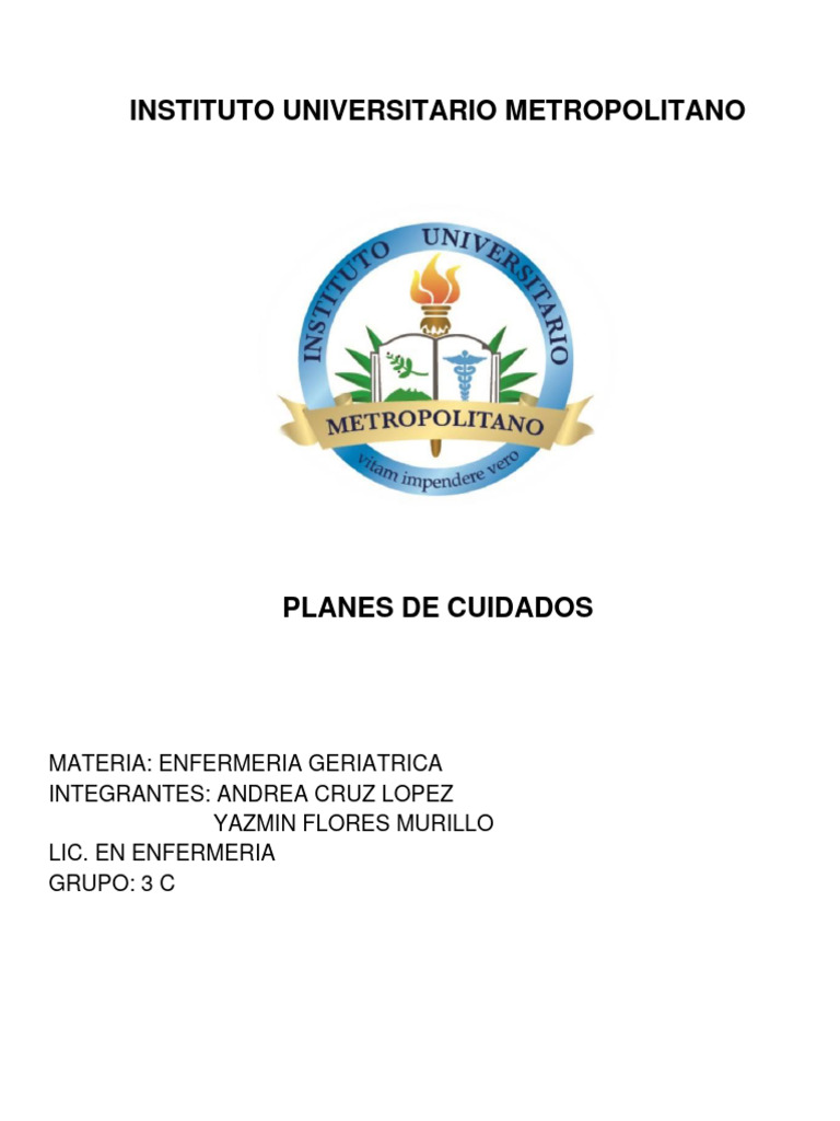 Plan de Cuidados en Enfermería Geriátrica | PDF | Cuidado de la salud ...