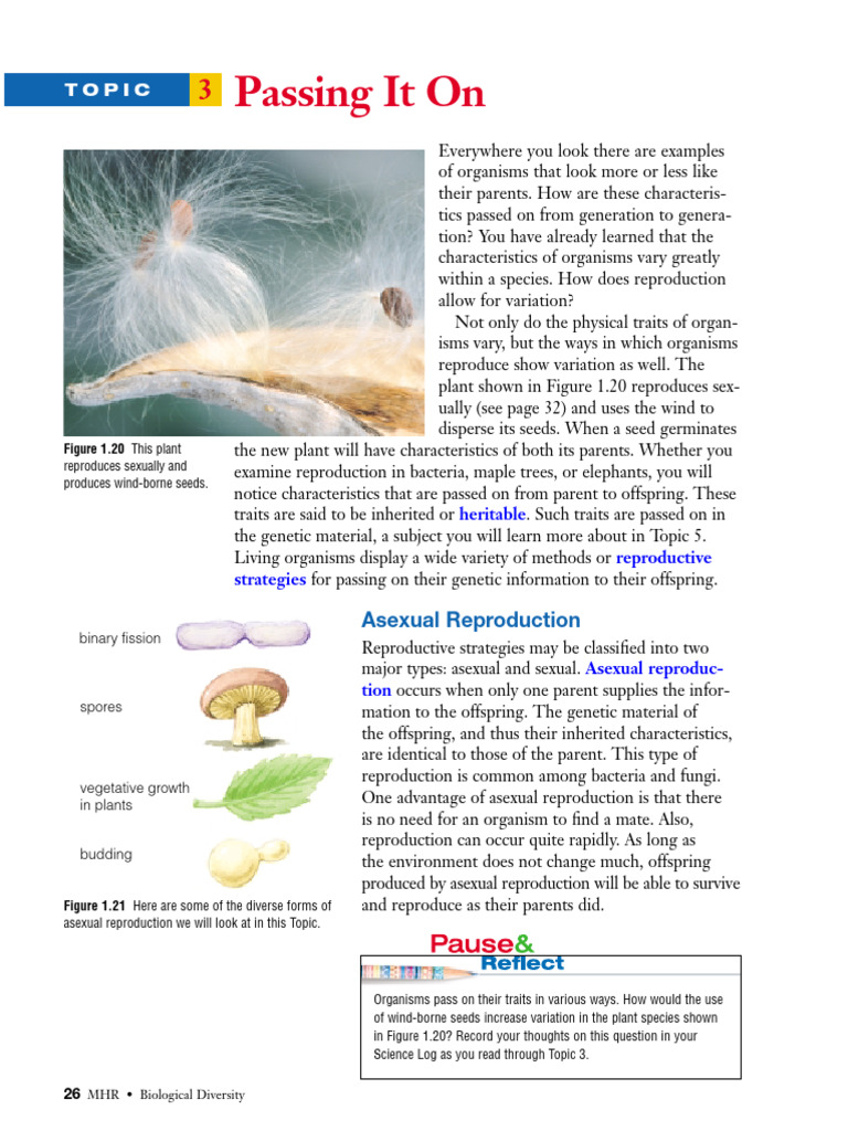 Science in Focus 9 - Unit 1 Topic 3 Passing It On | PDF | Reproduction ...
