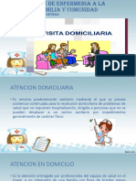 Visita Domiciliaria PDF