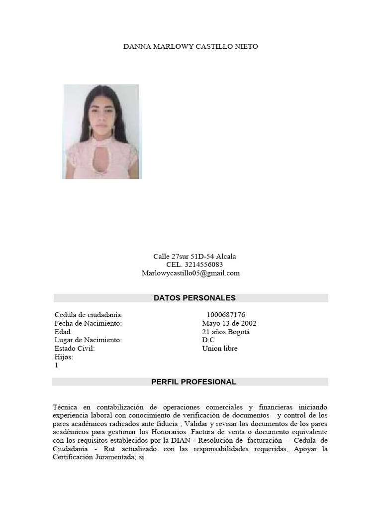 Perfil Profesional de Danna Marlowy Castillo | PDF | Crecimiento ...