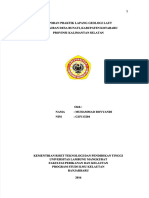 PDF Laporan Praktek Lapang Geologi Laut Di Perairan Desa Bunati Kabupaten Tanahbumbu Provinsi Kalimantan Selatan Compress