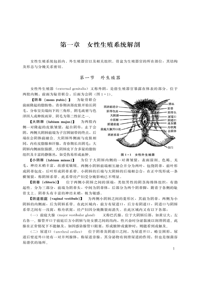 1252 | PDF