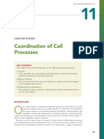 CH 11 Microbe Coordination of Cell Processes