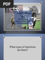 IV Injection Sites in Dogs and Cattle | PDF | Vein | Anatomical Terms ...