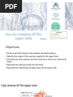Label (Upper Limb Bone) | PDF | Musculoskeletal System | Human Anatomy