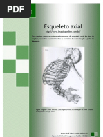 Esqueleto Axial