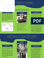 Infografias Proyecto Final PT 2
