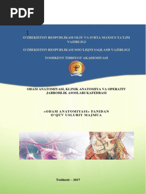 Naxodka jinsiy aloqa bosh vaqt