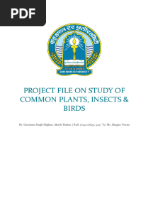 Project File On Study of Common Plants, Insects & Birds