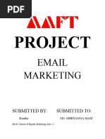 Email Marketing 