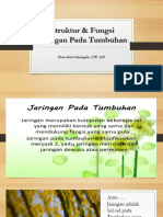 Struktur & Fungsi Jaringan Pada Tumbuhan